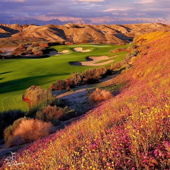 Free People Stitched Smocked Peasant Shirt Pumpkin for Thanksgiving Long Sleeve - Picture 6 of 6